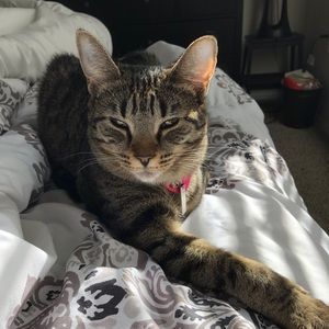 Meet your Posher, Katelyn